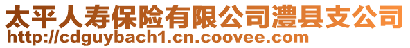 太平人壽保險(xiǎn)有限公司澧縣支公司