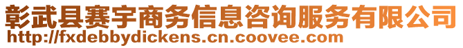 彰武县赛宇商务信息咨询服务有限公司