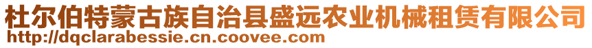 杜爾伯特蒙古族自治縣盛遠(yuǎn)農(nóng)業(yè)機(jī)械租賃有限公司