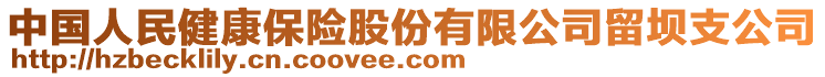 中國(guó)人民健康保險(xiǎn)股份有限公司留壩支公司