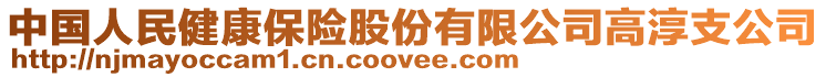 中國人民健康保險股份有限公司高淳支公司