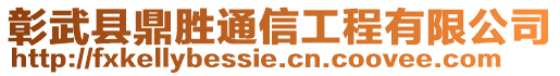 彰武縣鼎勝通信工程有限公司