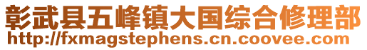 彰武縣五峰鎮(zhèn)大國(guó)綜合修理部