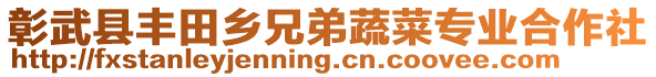 彰武縣豐田鄉(xiāng)兄弟蔬菜專業(yè)合作社