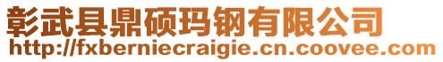 彰武縣鼎碩瑪鋼有限公司