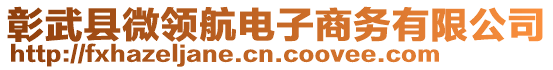 彰武縣微領(lǐng)航電子商務(wù)有限公司