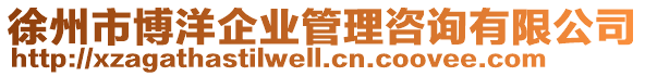 徐州市博洋企業(yè)管理咨詢有限公司