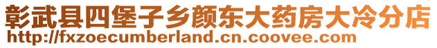 彰武縣四堡子鄉顏東大藥房大冷分店