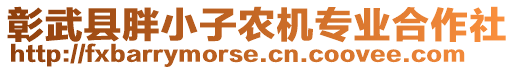 彰武縣胖小子農(nóng)機專業(yè)合作社