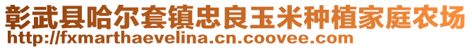 彰武縣哈爾套鎮(zhèn)忠良玉米種植家庭農(nóng)場