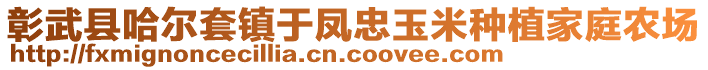 彰武縣哈爾套鎮(zhèn)于鳳忠玉米種植家庭農(nóng)場(chǎng)