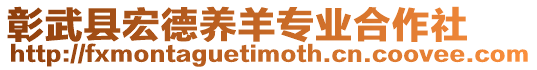 彰武縣宏德養(yǎng)羊?qū)I(yè)合作社