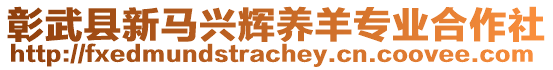 彰武縣新馬興輝養(yǎng)羊?qū)I(yè)合作社