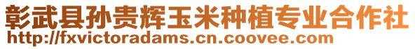 彰武縣孫貴輝玉米種植專業(yè)合作社