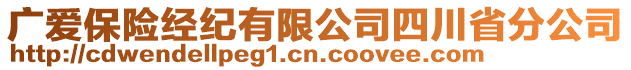 广爱保险经纪有限公司四川省分公司