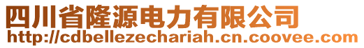 四川省隆源電力有限公司