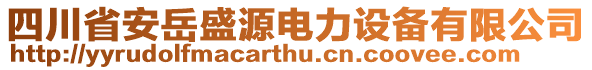 四川省安岳盛源電力設(shè)備有限公司