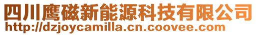 四川鷹磁新能源科技有限公司