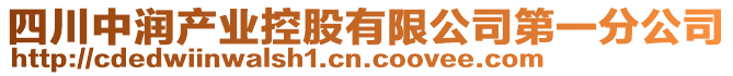 四川中潤產業(yè)控股有限公司第一分公司