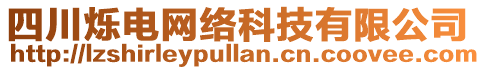 四川爍電網(wǎng)絡(luò)科技有限公司