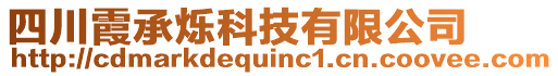 四川霞承爍科技有限公司