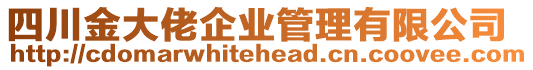 四川金大佬企業(yè)管理有限公司