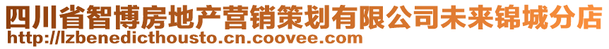 四川省智博房地產(chǎn)營銷策劃有限公司未來錦城分店