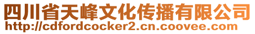 四川省天峰文化傳播有限公司