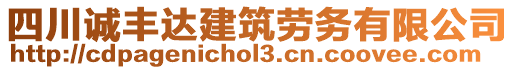 四川誠豐達建筑勞務(wù)有限公司