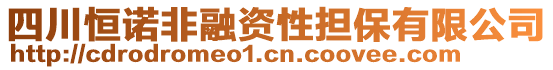 四川恒諾非融資性擔(dān)保有限公司