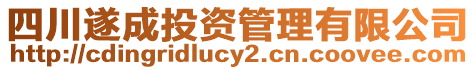 四川遂成投資管理有限公司