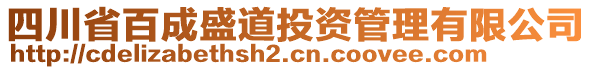 四川省百成盛道投資管理有限公司