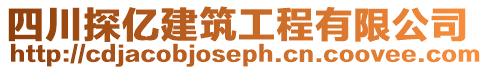 四川探億建筑工程有限公司