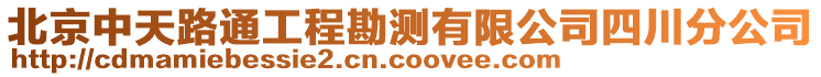 北京中天路通工程勘測(cè)有限公司四川分公司