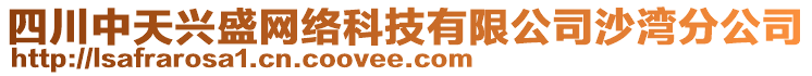 四川中天興盛網(wǎng)絡(luò)科技有限公司沙灣分公司