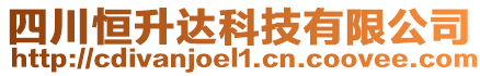 四川恒升達科技有限公司