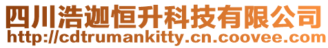 四川浩迦恒升科技有限公司