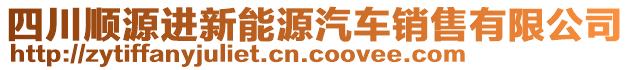四川順源進(jìn)新能源汽車銷售有限公司