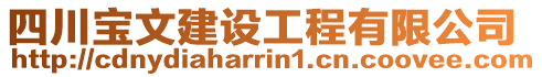 四川寶文建設工程有限公司