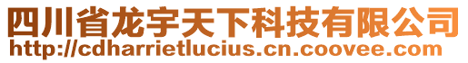 四川省龍宇天下科技有限公司