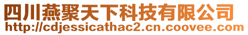 四川燕聚天下科技有限公司