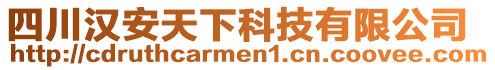 四川漢安天下科技有限公司