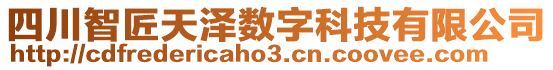 四川智匠天澤數(shù)字科技有限公司