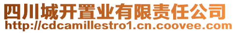 四川城開置業(yè)有限責(zé)任公司