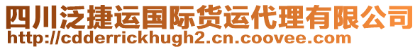 四川泛捷運國際貨運代理有限公司