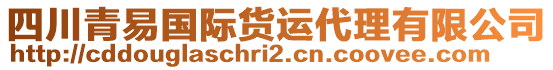 四川青易國際貨運(yùn)代理有限公司