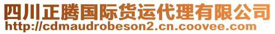 四川正騰國際貨運代理有限公司