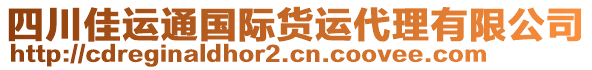 四川佳運通國際貨運代理有限公司