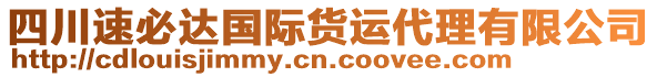 四川速必達(dá)國(guó)際貨運(yùn)代理有限公司