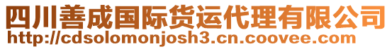 四川善成國(guó)際貨運(yùn)代理有限公司